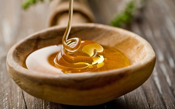 Алоэ с медом: лечебные свойства и противопоказания