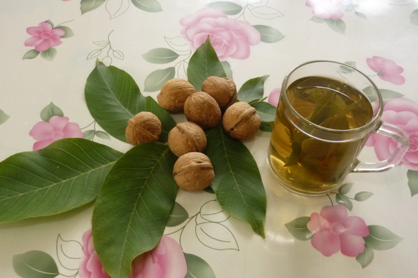 Лечение грецкими орехами: лучшие народные рецепты