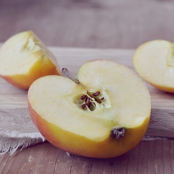 Польза яблочных косточек и лечение с помощью семян яблок