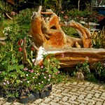Садовая мебель из дерева своими руками (38 фото) – преимущества и проекты