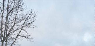 Баня в современном стиле