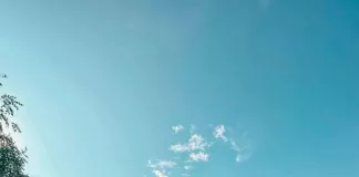 Экоферма: В Поле