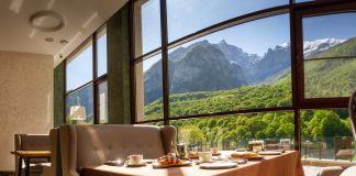 Отель: Forrest Terrace 5★