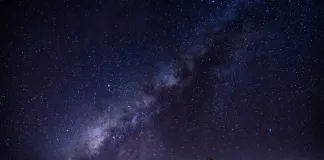 Глэмпинг: TheGarden