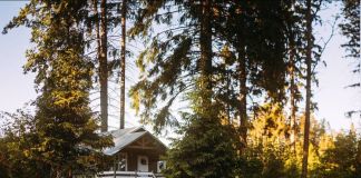 Лесной курорт: Ефимов Бор