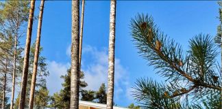 База Дом у моря