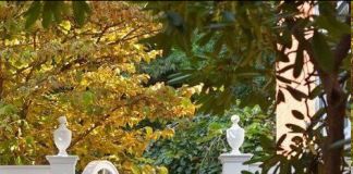 Входная зона частного дома