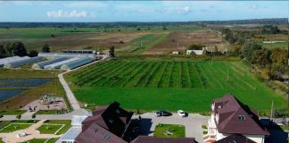 Усадьба: Гастхоф Гренц