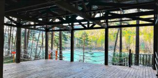 Парк-отель: Сказка Алтая