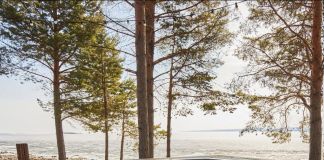 База отдыха: Талео Хоум