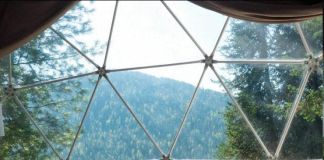 Отель: Fusion Inn