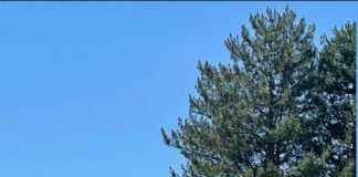 Комфорт-коттедж: OShotels