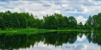 Дом-шале: Топорок