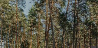 Отель: Орша Ривер Клаб