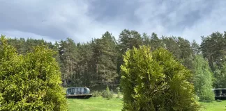 Отель: Pine River 4*