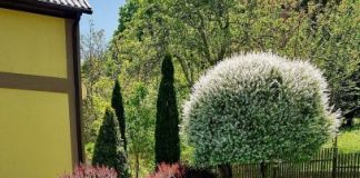 Композиция многостороннего обзора