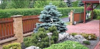 Оформление зоны входа