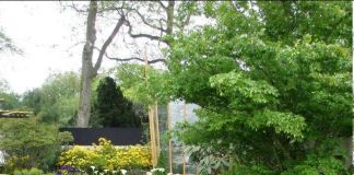 Дорожки в саду