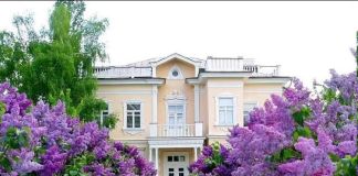 Сирень в саду