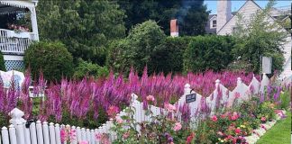 Цветник вдоль забора