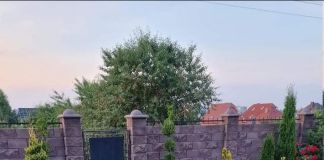 Оформление входной зоны