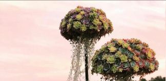 Подвесные композиции