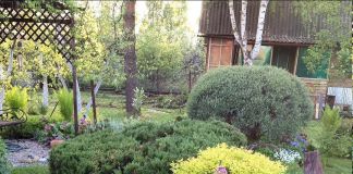 Прекрасная композиция