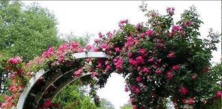 Идея оформления