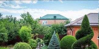 Сад: топиарное искусство