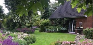 Вариант обустройства участка