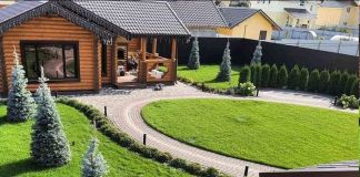 Газон: фото