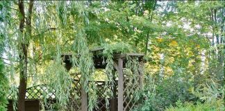 Оформление пруда: фото