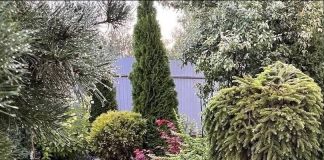 Прекрасный сад