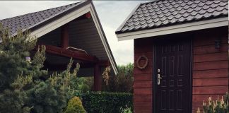 Флокс шиловидный