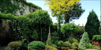 Цветочная композиция