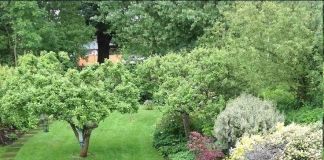 Крошечный пруд