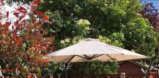 Уголок природы в саду