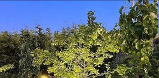 Садовое освещение