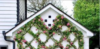 Решение из вьющихся