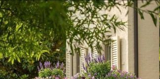 Кашпо в саду