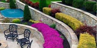 Цветы на склоне