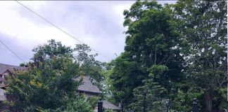 Оформление парадной зоны