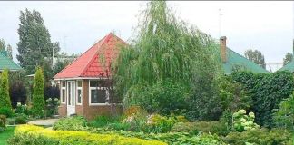 Невысокие бордюры