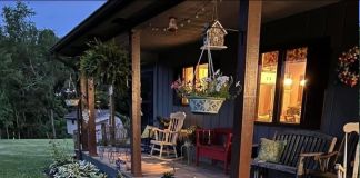 Хосты с белой каймой