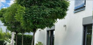 Дворик с лужайкой