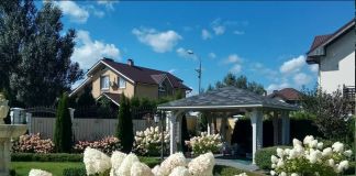 Штамбовая гортензия