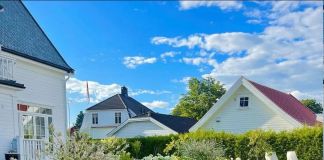 Гортензия в ландшафтном дизайне