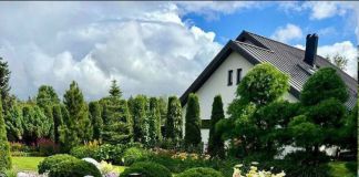 Ландшафтный дизайн участка