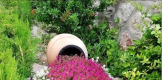 Цветочный ручей