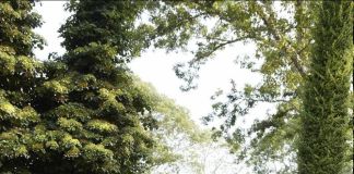 Уютное и милое местечко